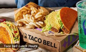 Taco bell Lunch Hours